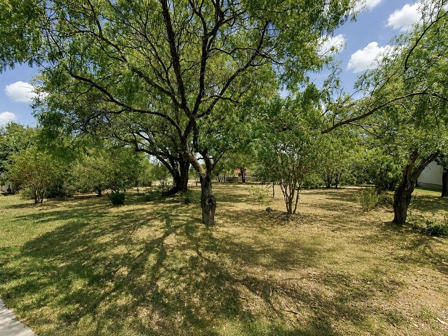 0.23 acres in Llano County - photo 3