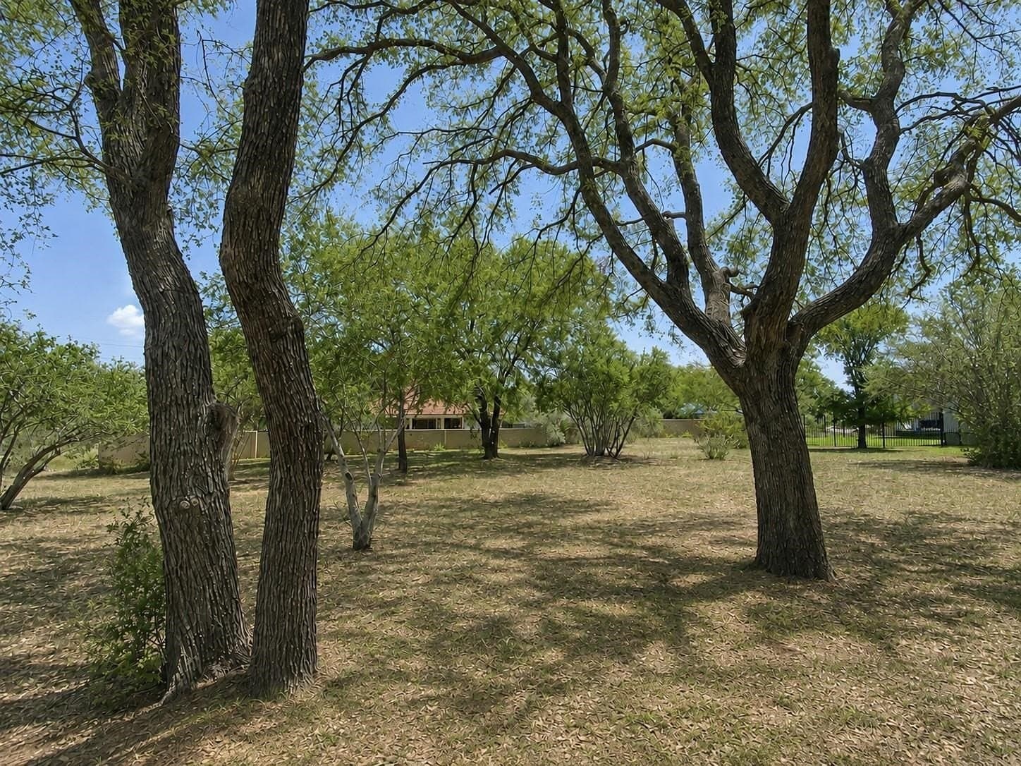 0.23 acres in Llano County - photo 7