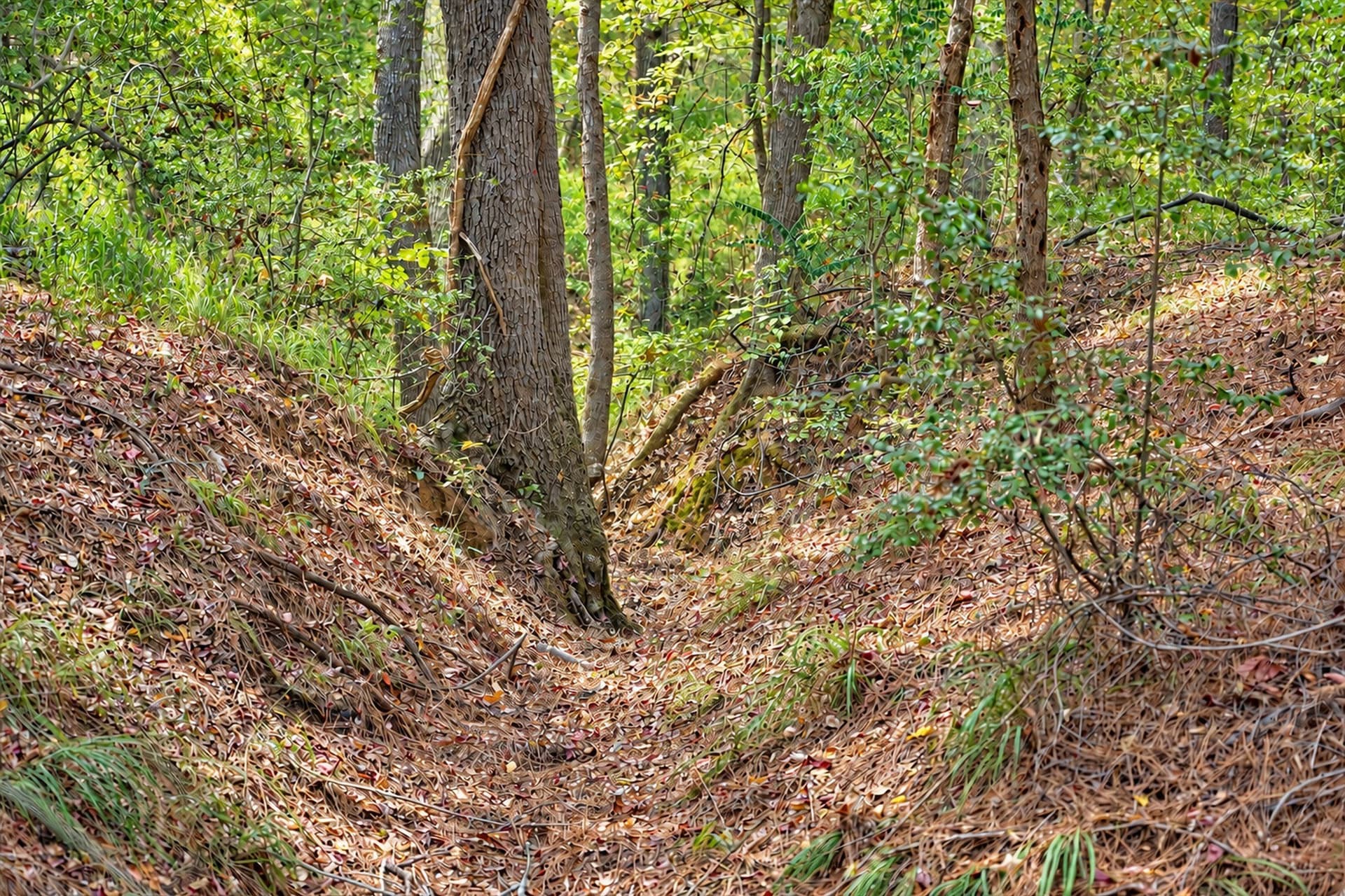113.93 acres in Anderson County - photo 32
