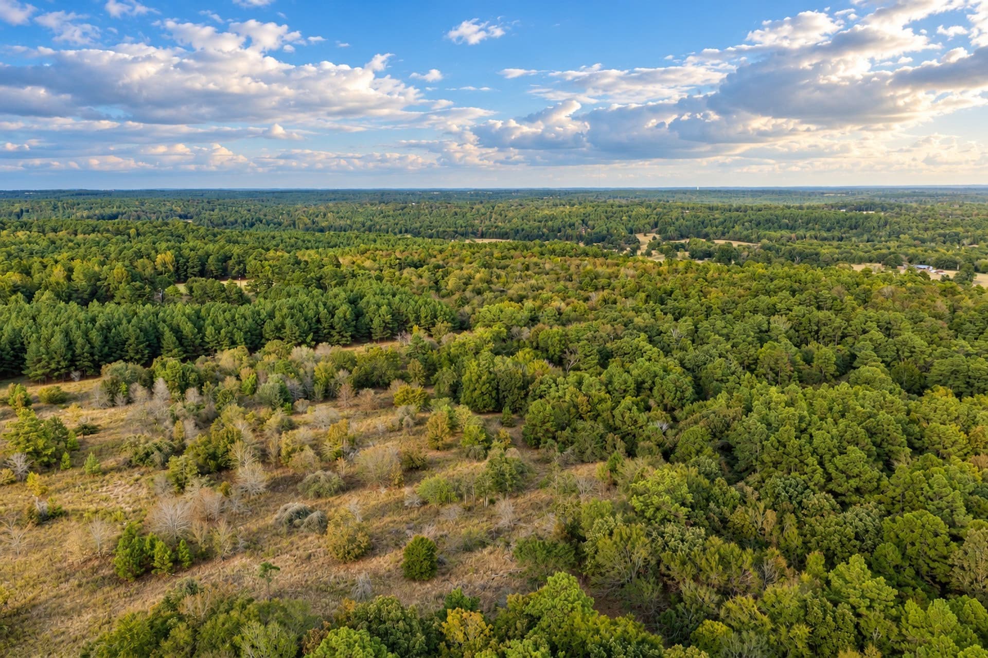 113.93 acres in Anderson County - photo 3