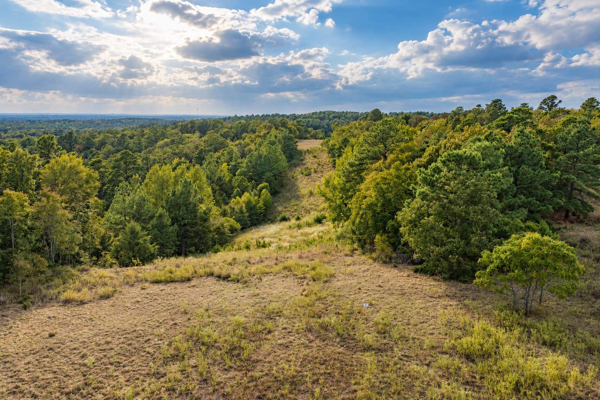 113.93 acres in Anderson County - photo 2