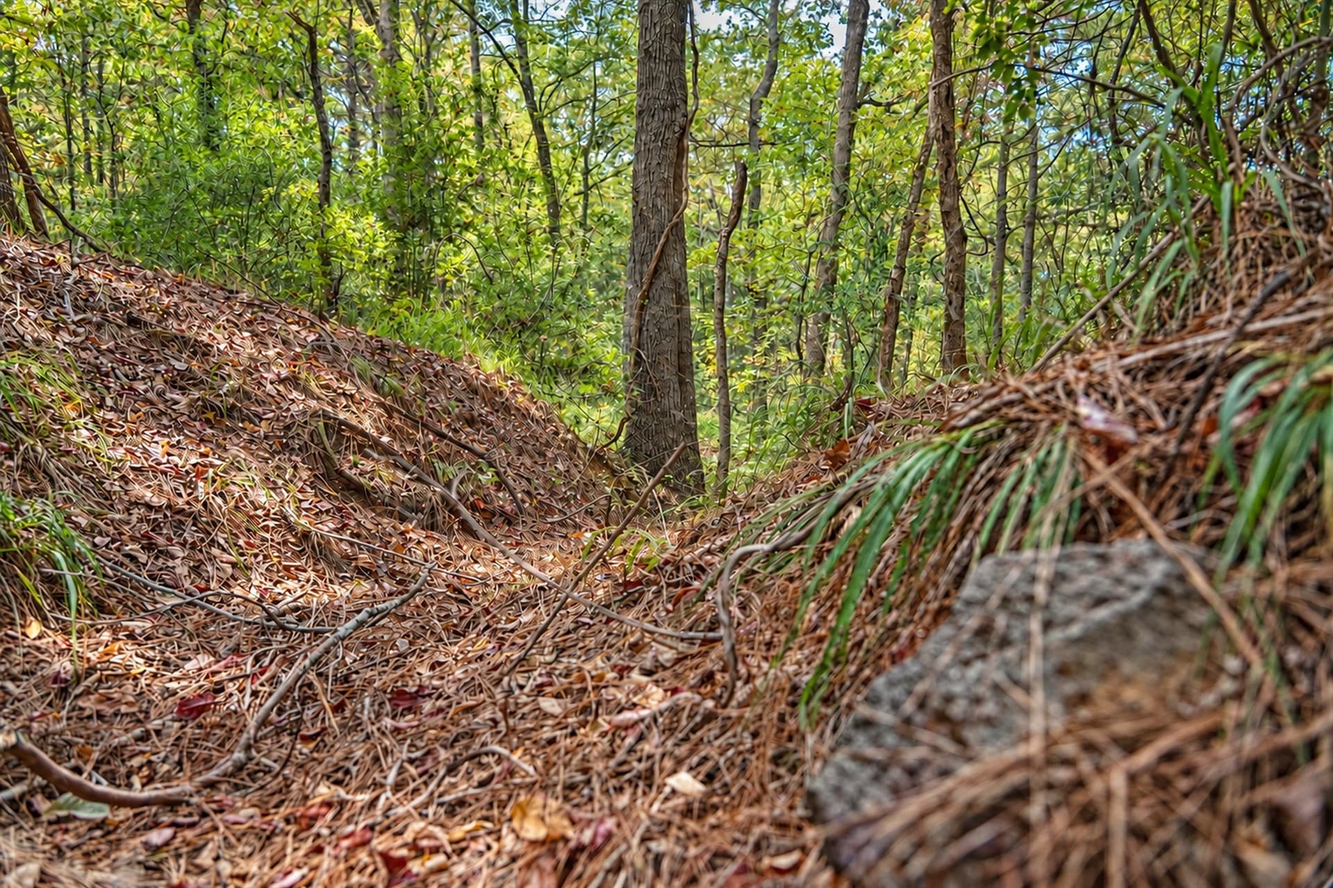 113.93 acres in Anderson County - photo 33