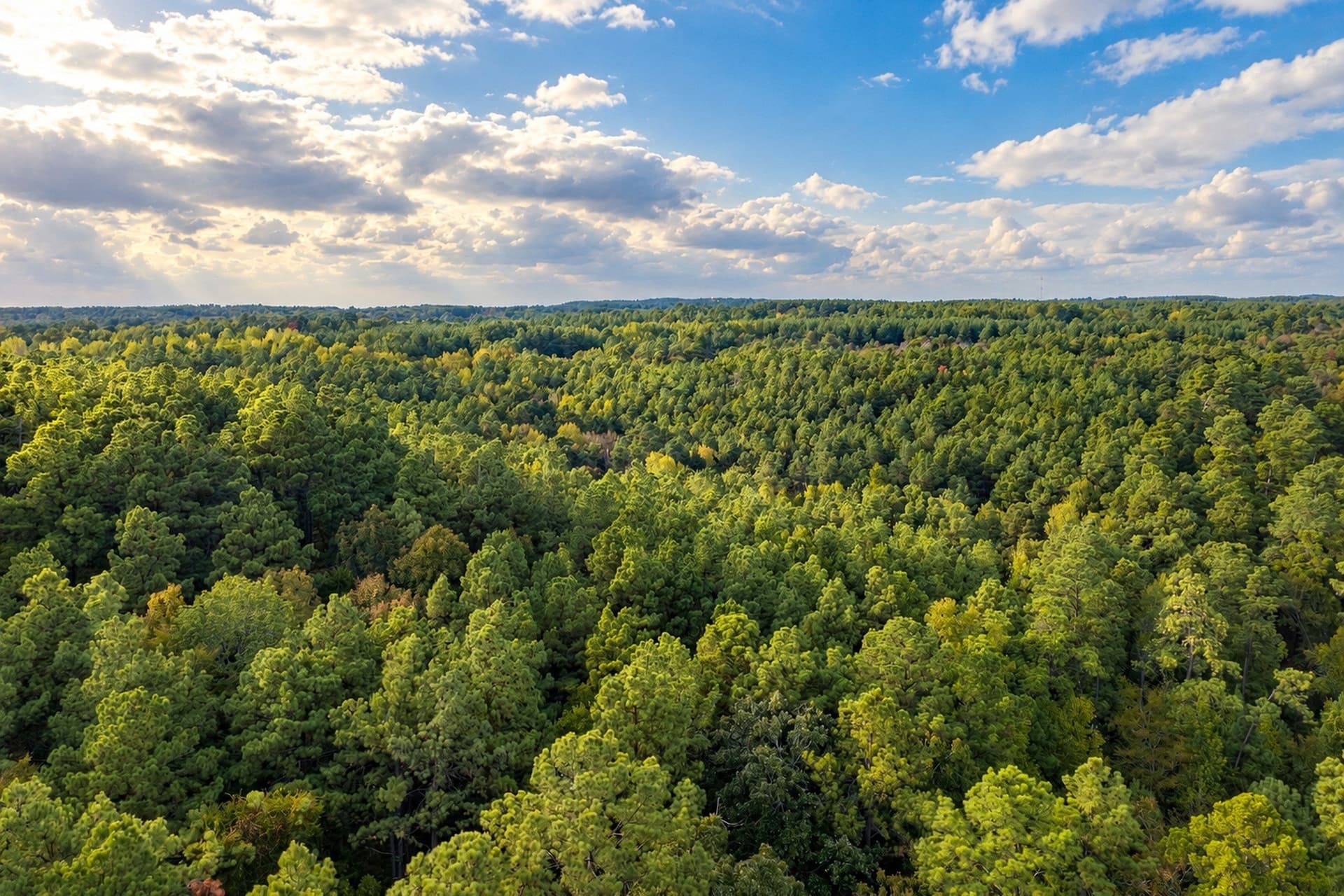 113.93 acres in Anderson County - photo 20