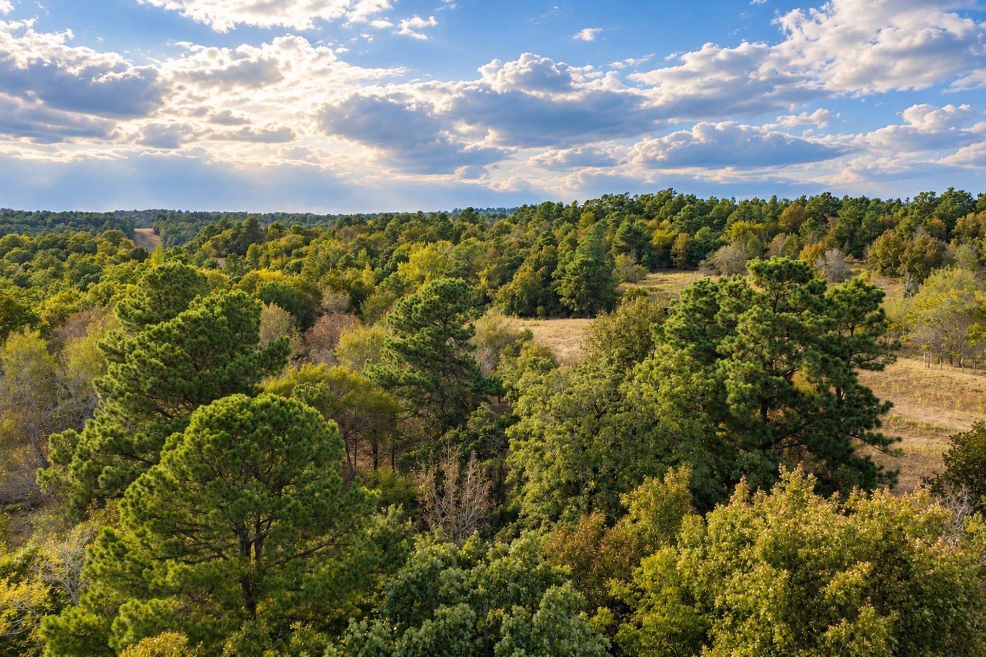 113.93 acres in Anderson County