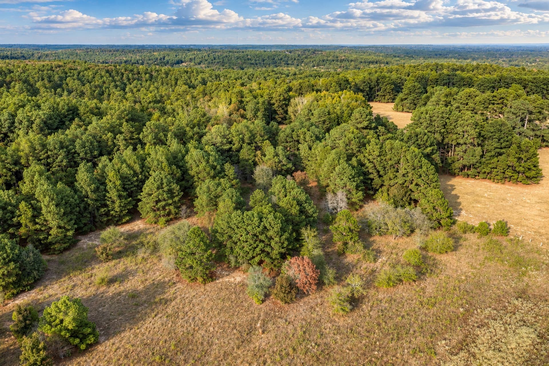 113.93 acres in Anderson County - photo 10