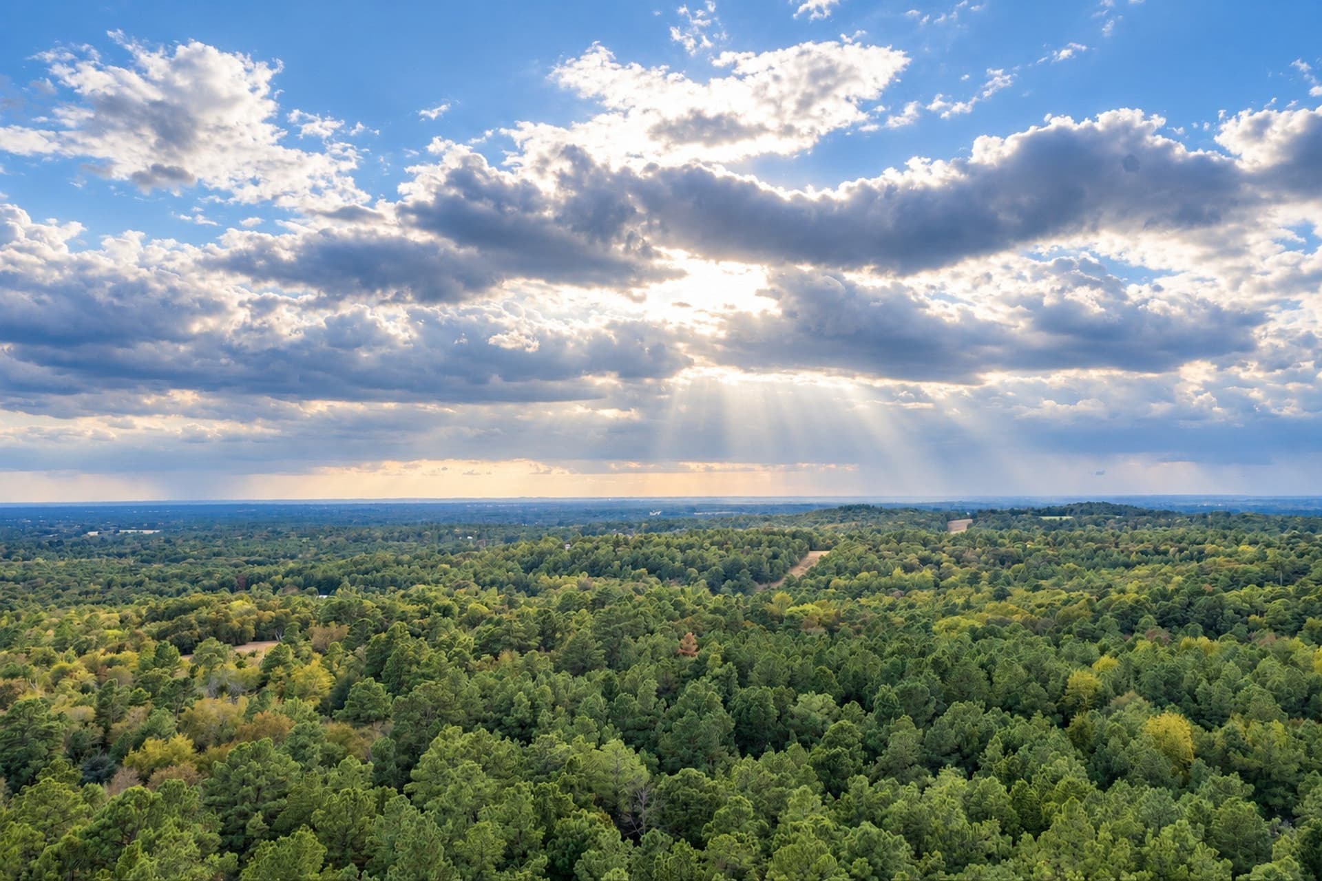 113.93 acres in Anderson County - photo 5