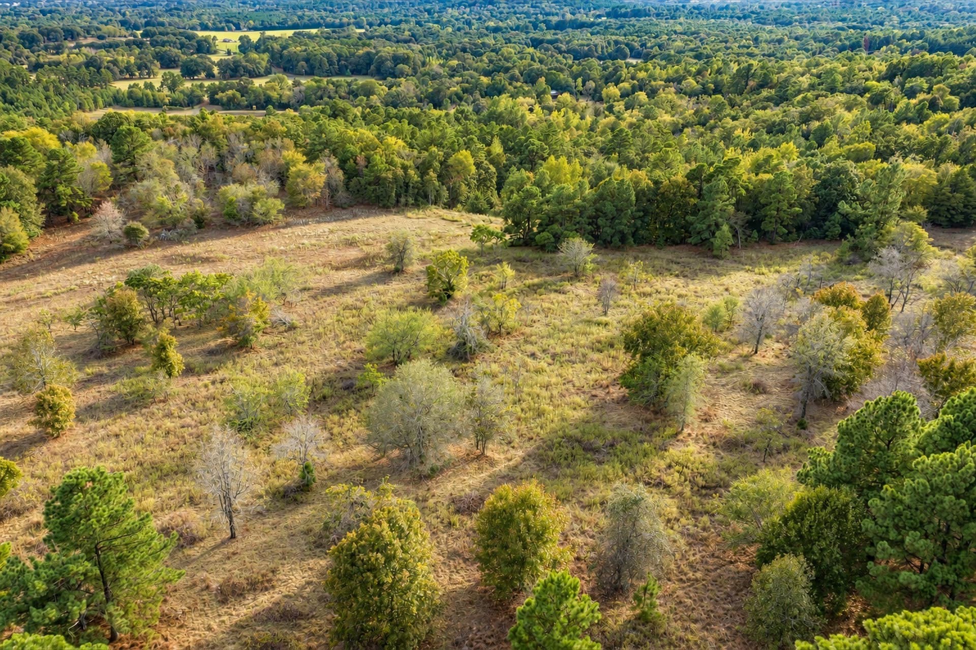 113.93 acres in Anderson County - photo 6