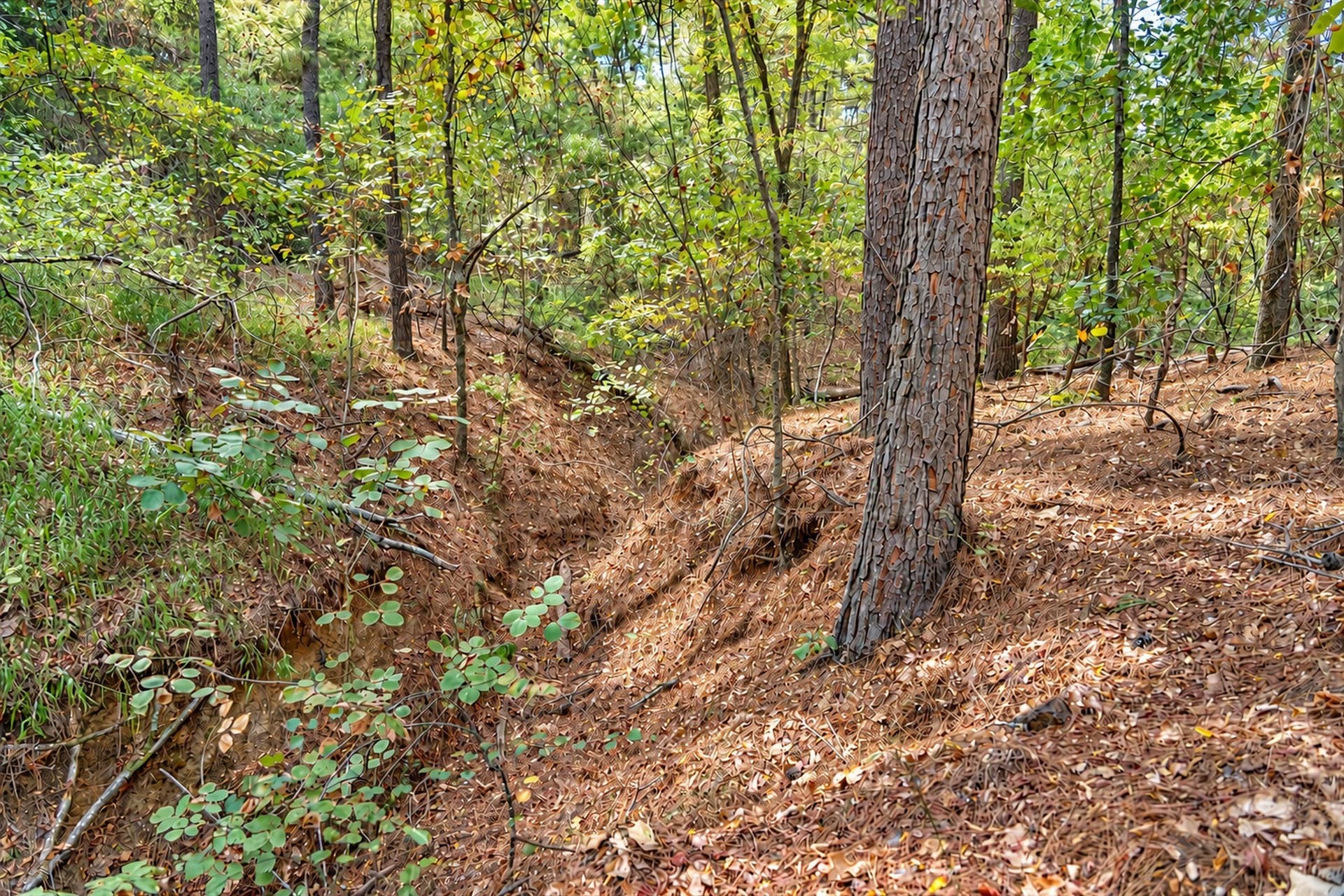 113.93 acres in Anderson County - photo 35