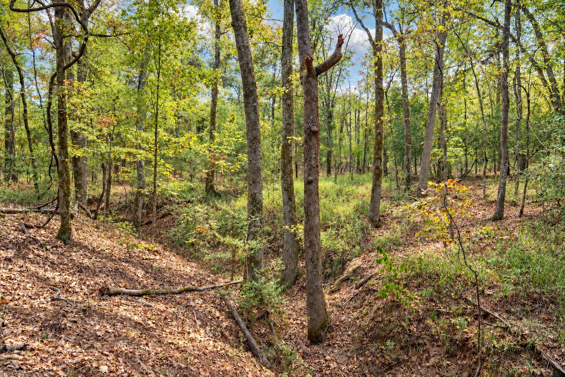 113.93 acres in Anderson County - photo 29