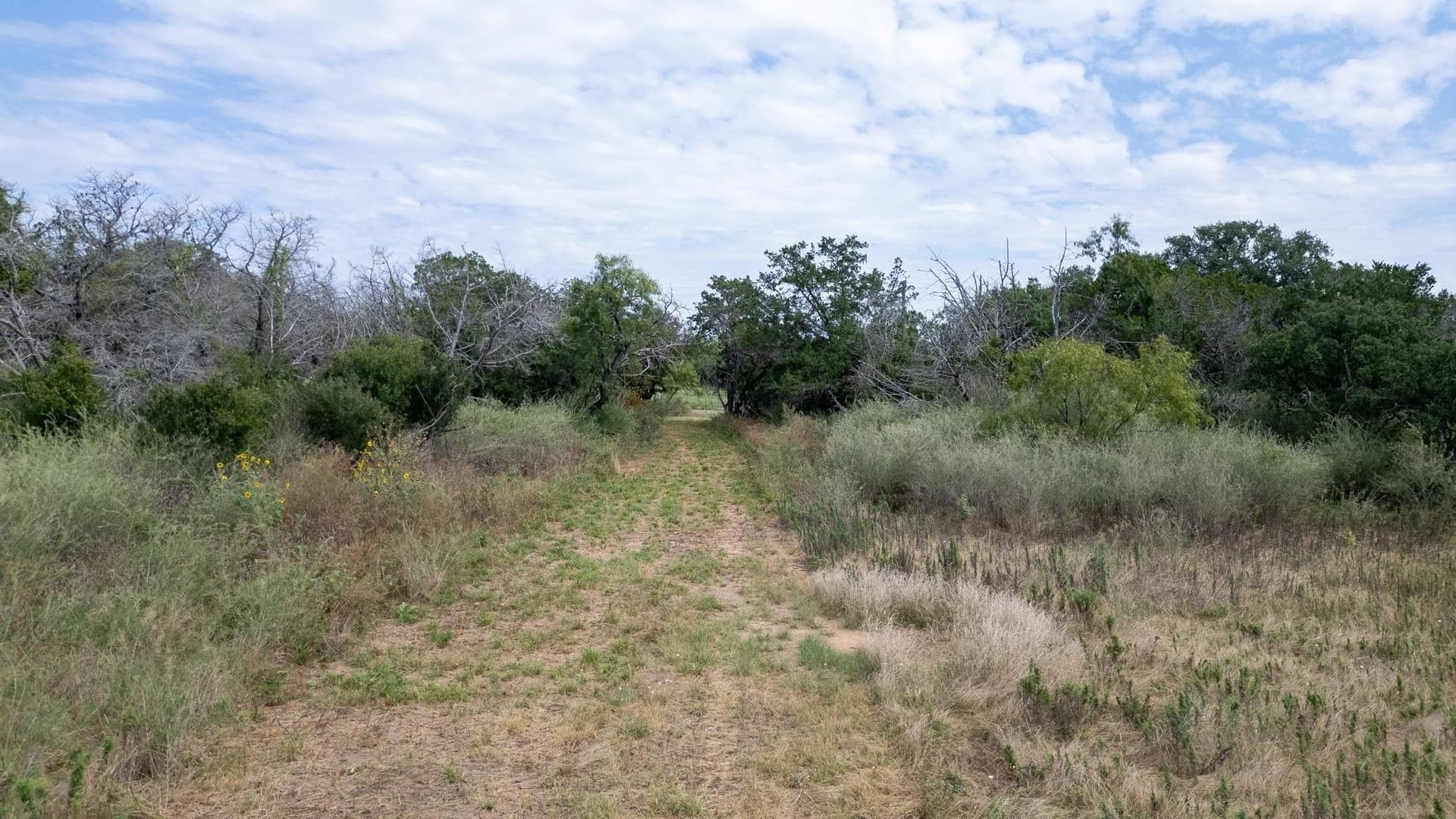 12.3 acres in Llano County - photo 31