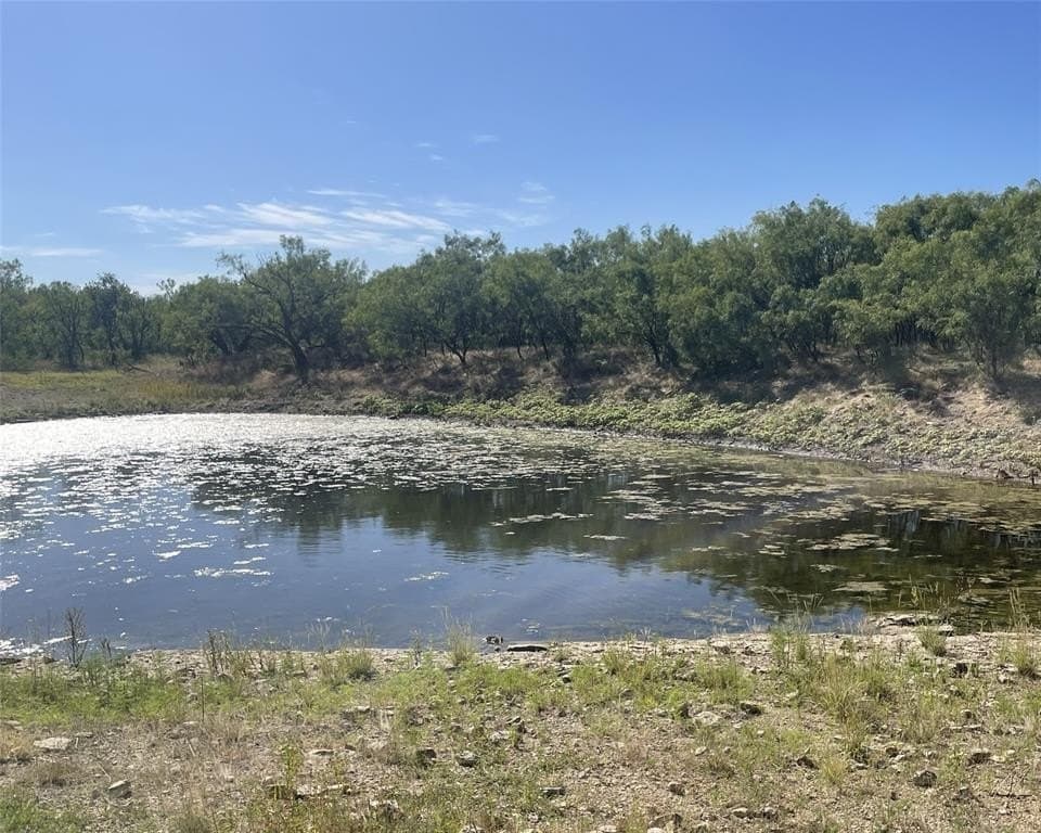 167 acres in Callahan County gallery image 4