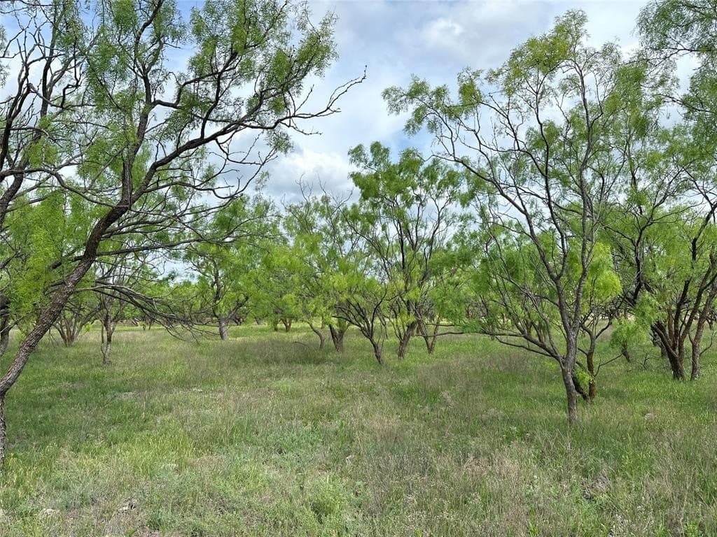 167 acres in Callahan County featured view