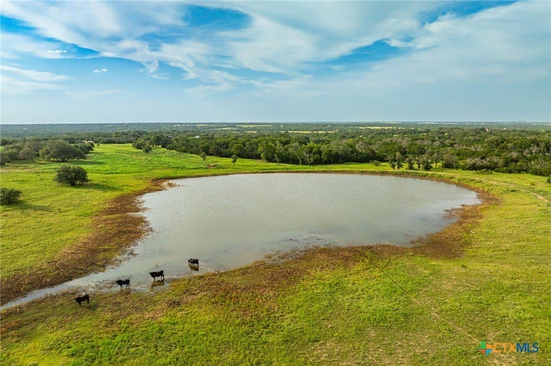 68.33 acres in Williamson County gallery image 2
