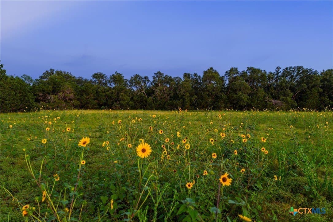 68.33 acres in Williamson County featured view