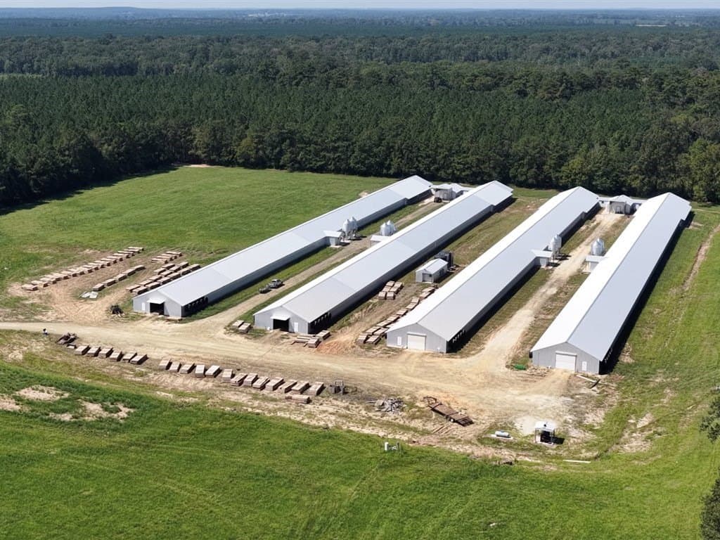 53.44 acres in Texas County gallery image 4