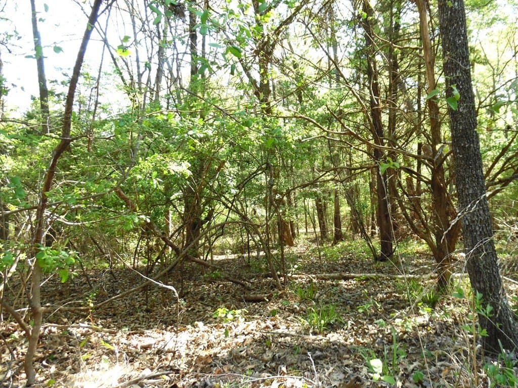 0.28 acres in Van Zandt County featured view