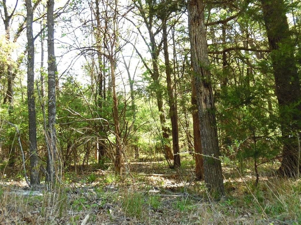 0.28 acres in Van Zandt County