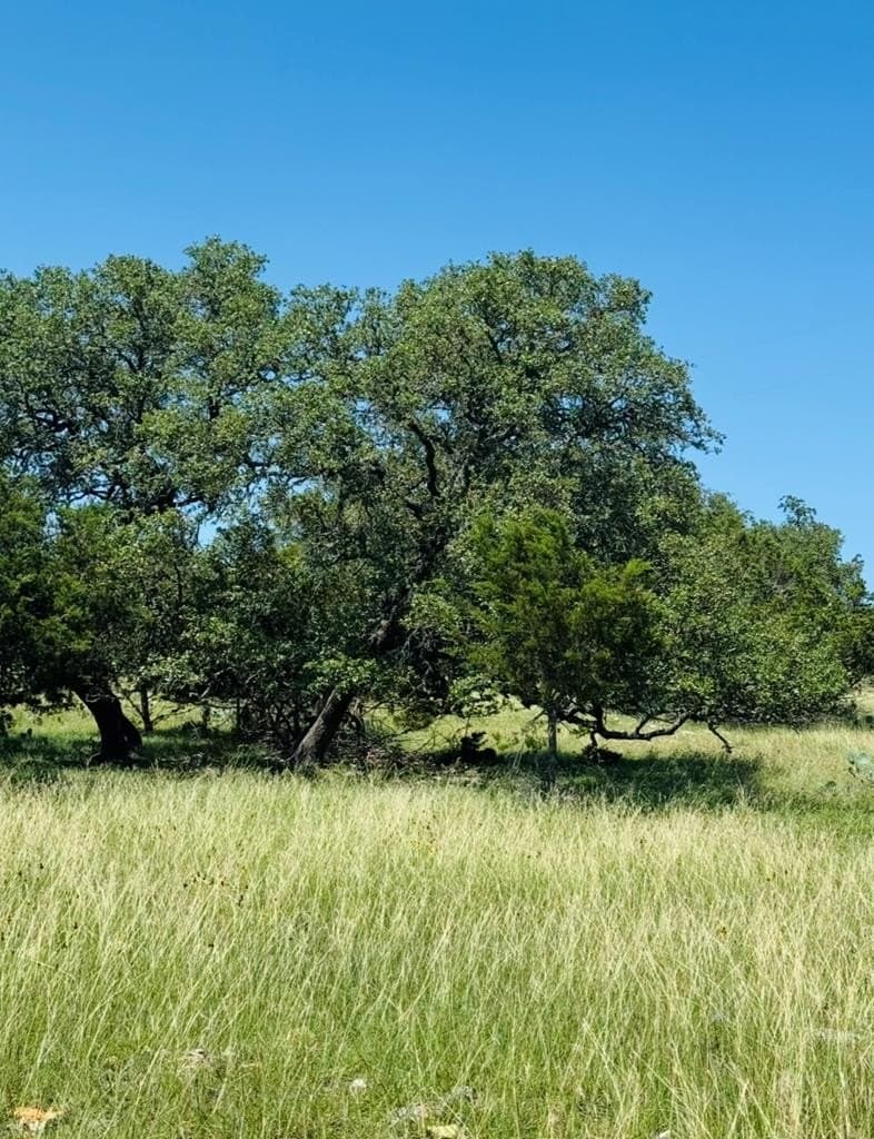 14.93 acres in Kendall County - photo 10
