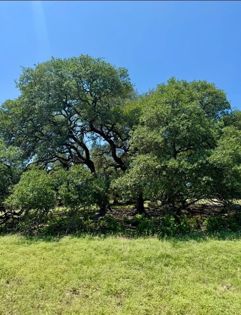 14.93 acres in Kendall County - photo 13
