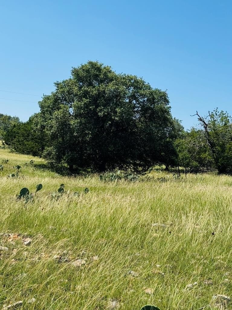 14.93 acres in Kendall County gallery image 2