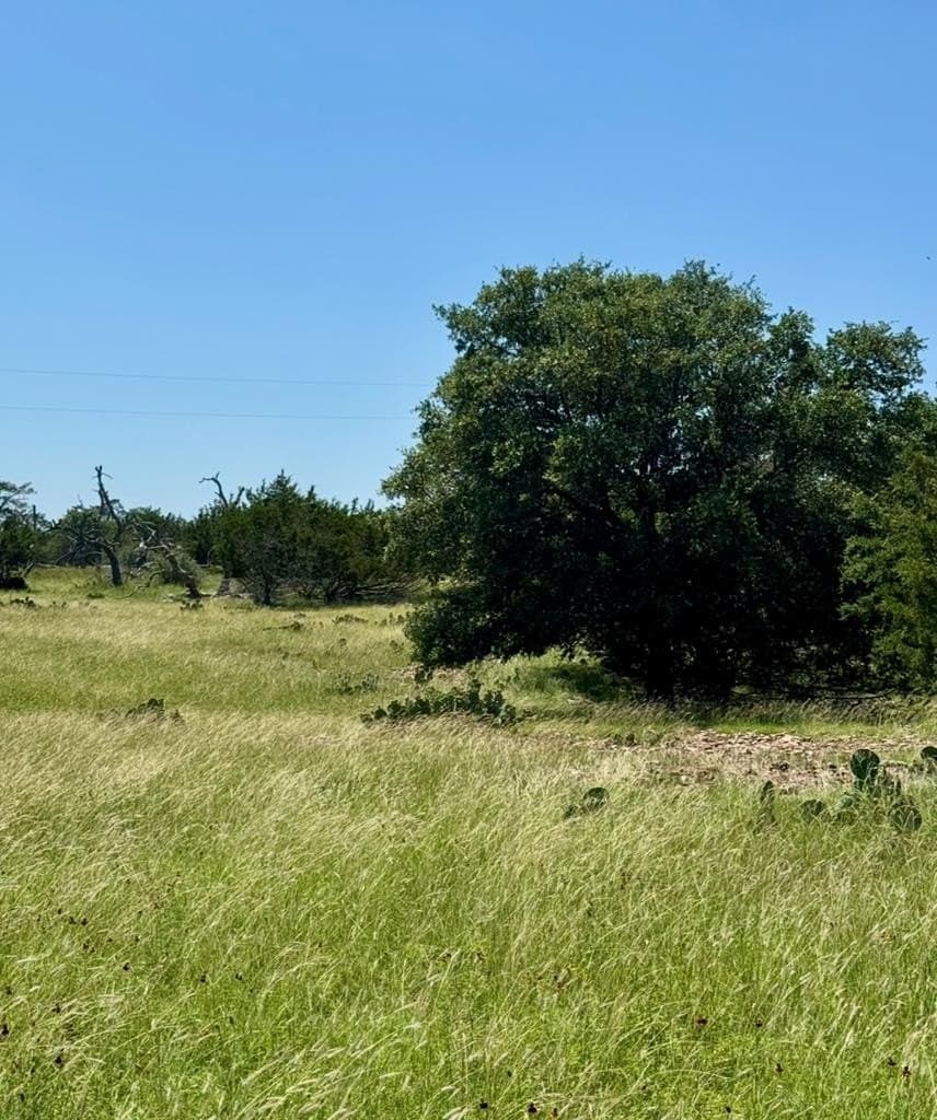 14.93 acres in Kendall County - photo 9