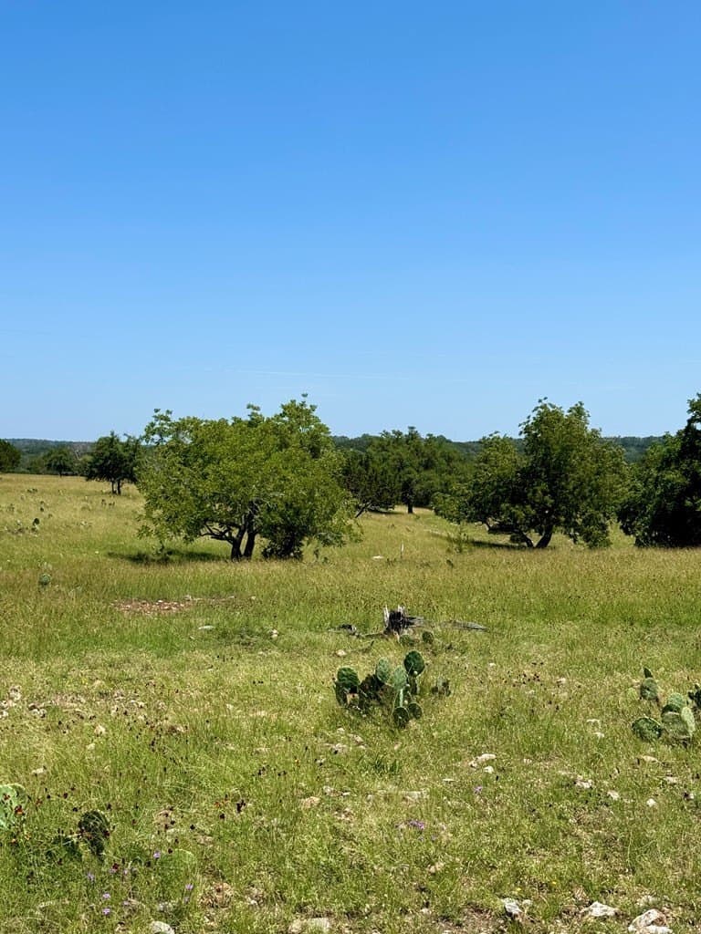 14.93 acres in Kendall County - photo 6