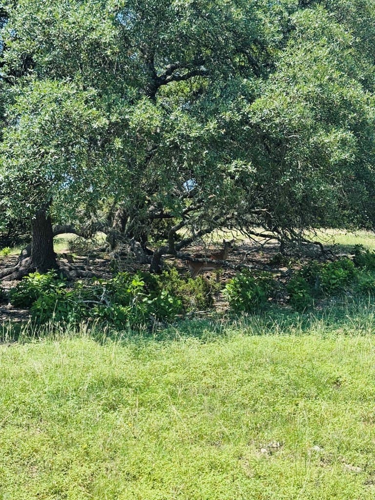 14.93 acres in Kendall County - photo 8