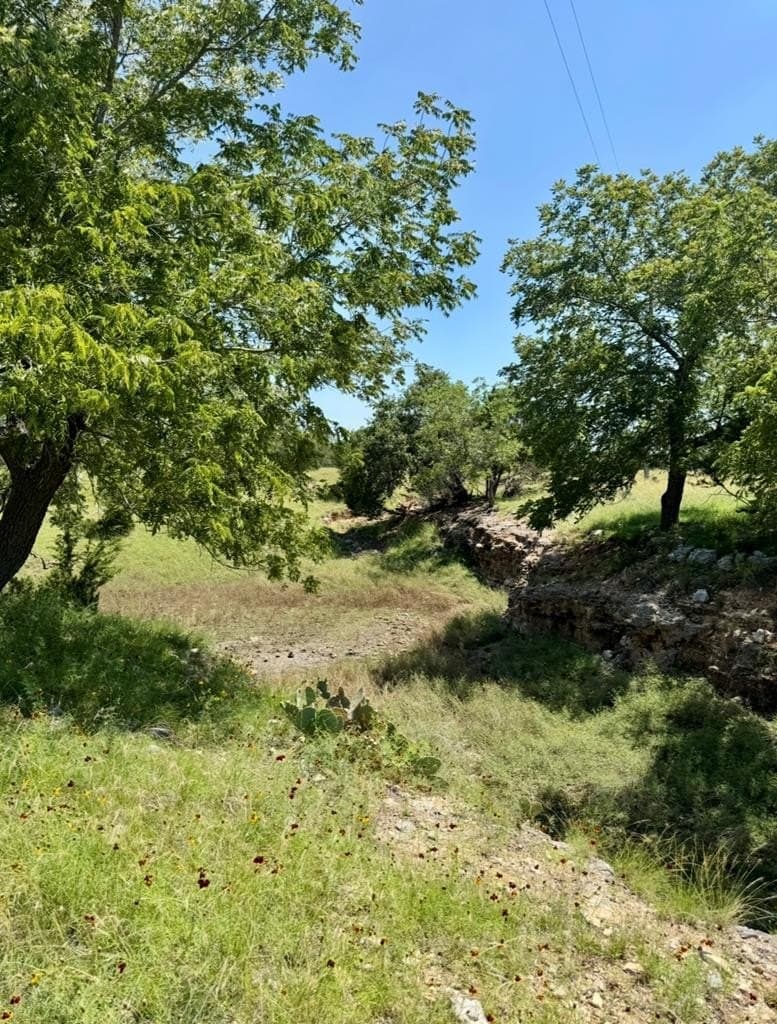 14.93 acres in Kendall County - photo 16