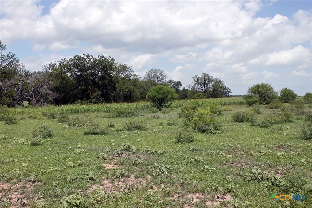 116.2 acres in Caldwell County - photo 16