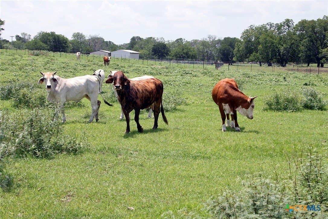 116.2 acres in Caldwell County featured view