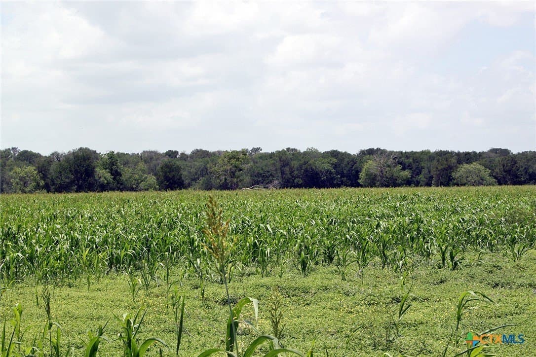 116.2 acres in Caldwell County gallery image 2
