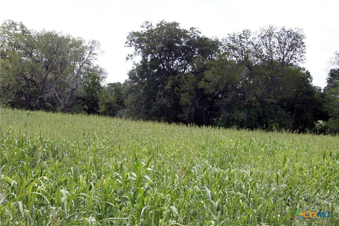 116.2 acres in Caldwell County - photo 10