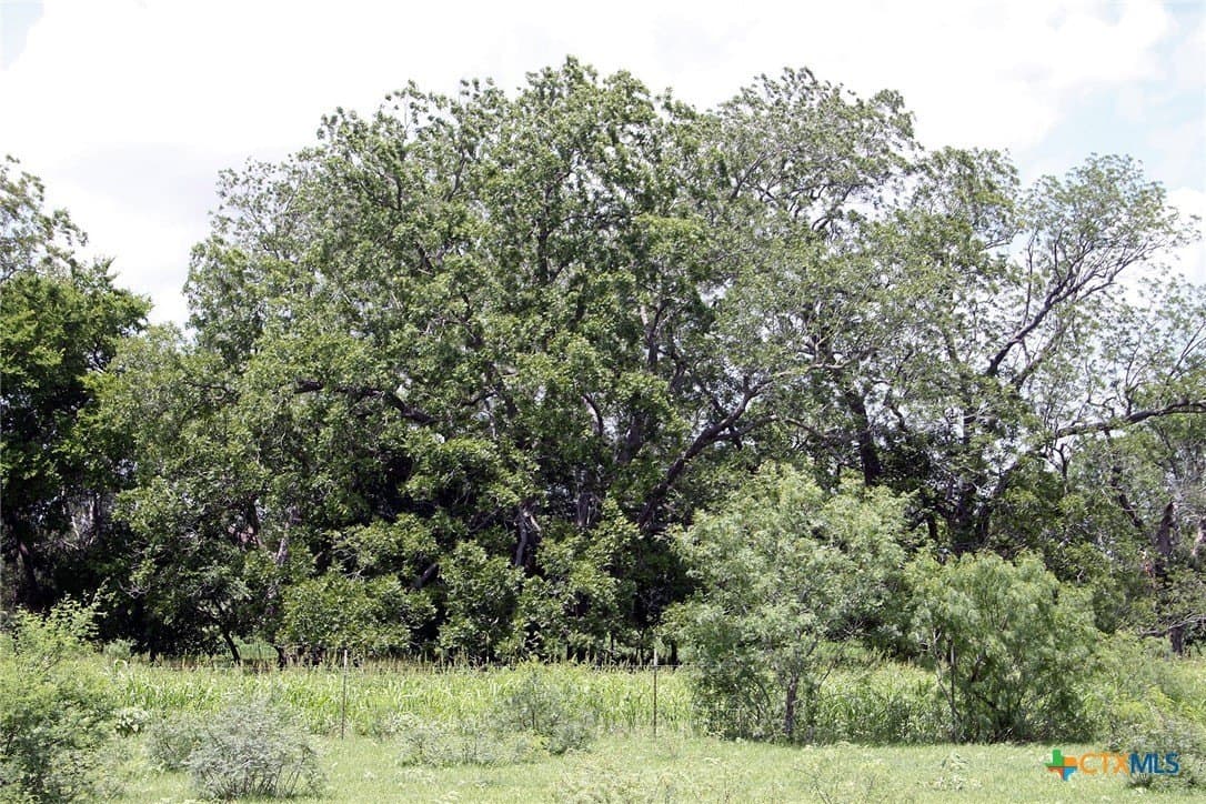 116.2 acres in Caldwell County - photo 14