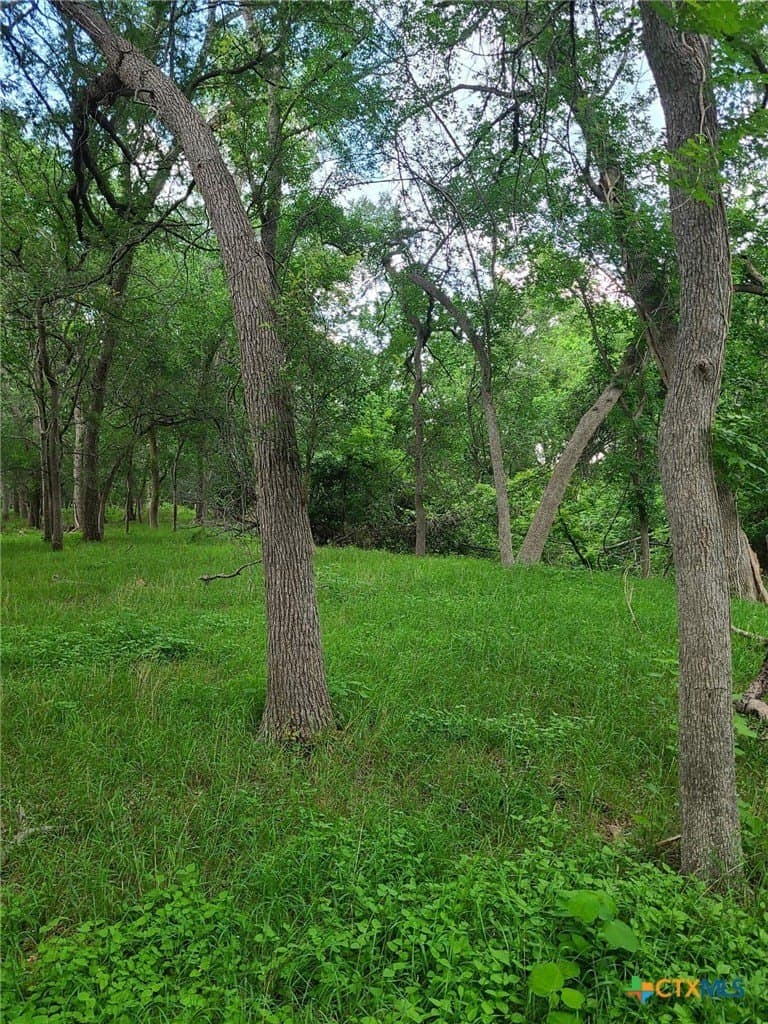 116.2 acres in Caldwell County - photo 23