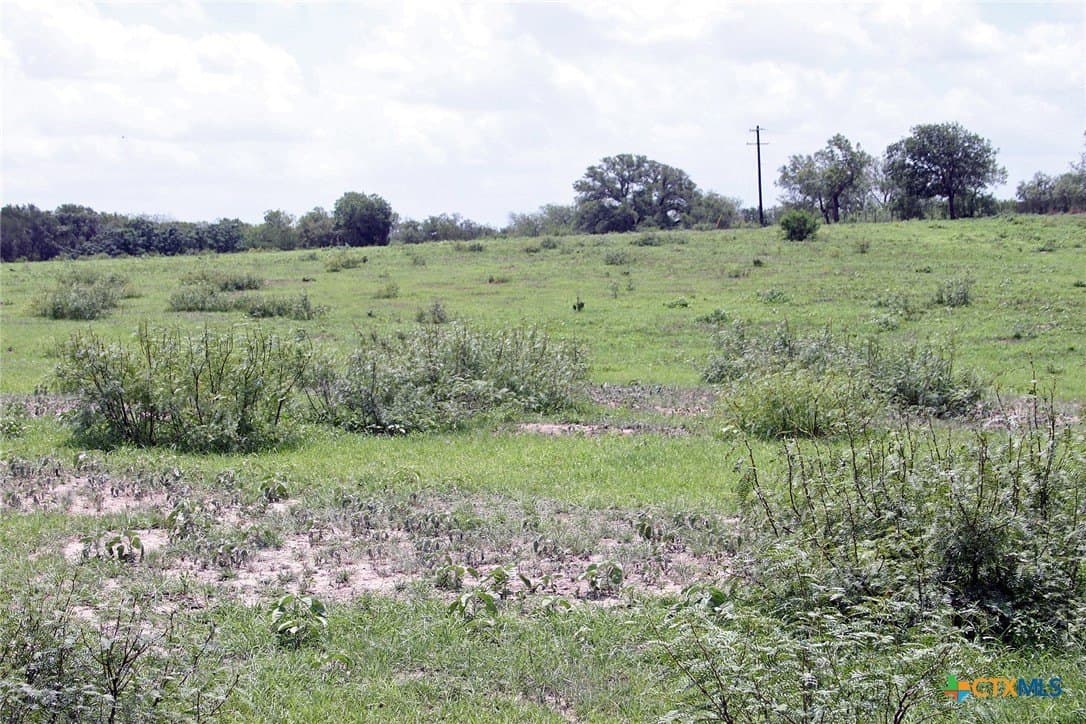 116.2 acres in Caldwell County - photo 15