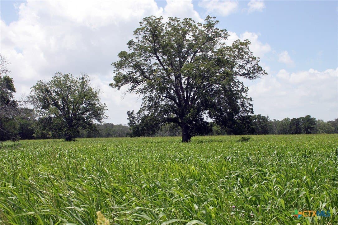 116.2 acres in Caldwell County - photo 6