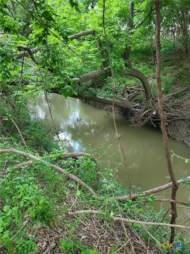 116.2 acres in Caldwell County - photo 25