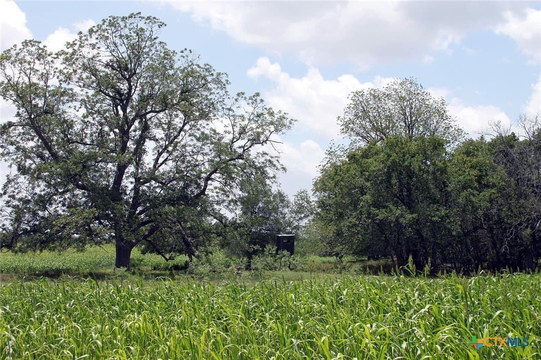 116.2 acres in Caldwell County - photo 11