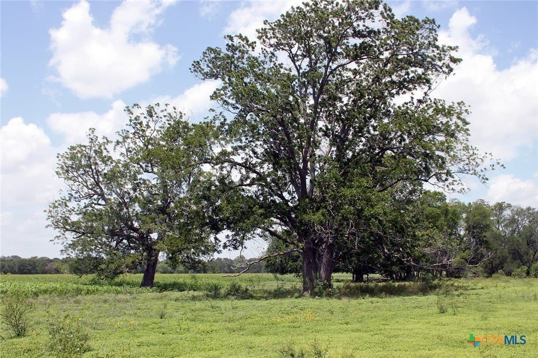 116.2 acres in Caldwell County - photo 7