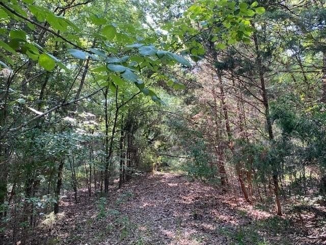 24.84 acres in Henderson County gallery image 2