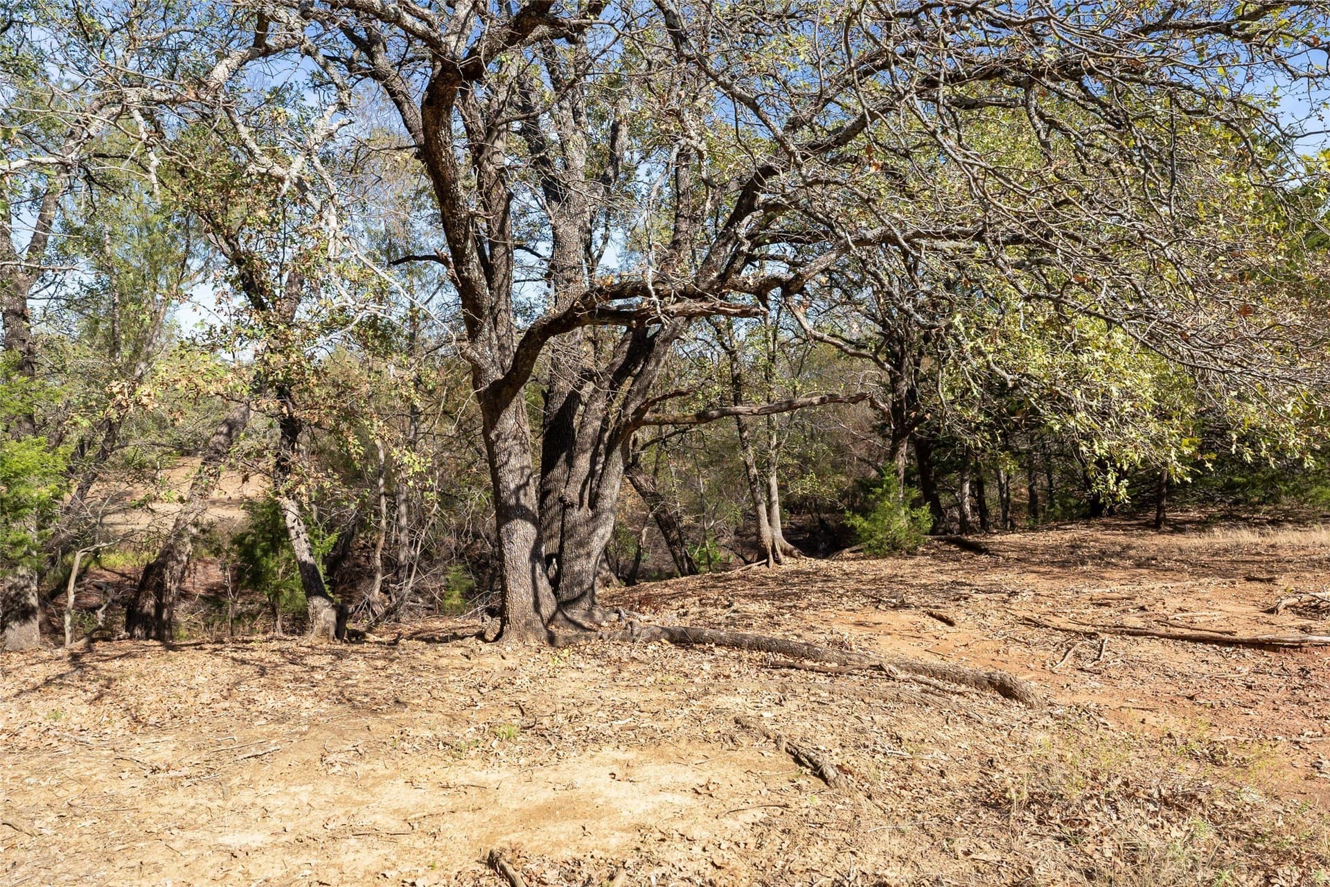 6 acres in Grayson County - photo 32
