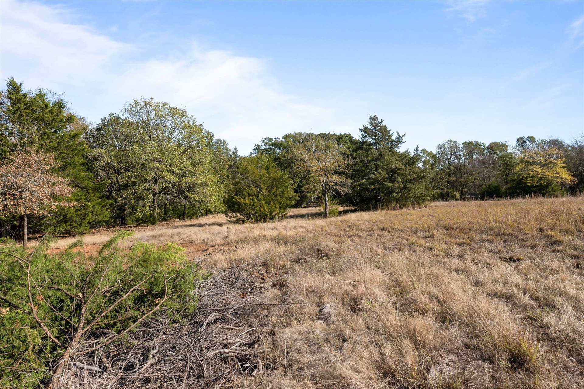 6 acres in Grayson County - photo 34