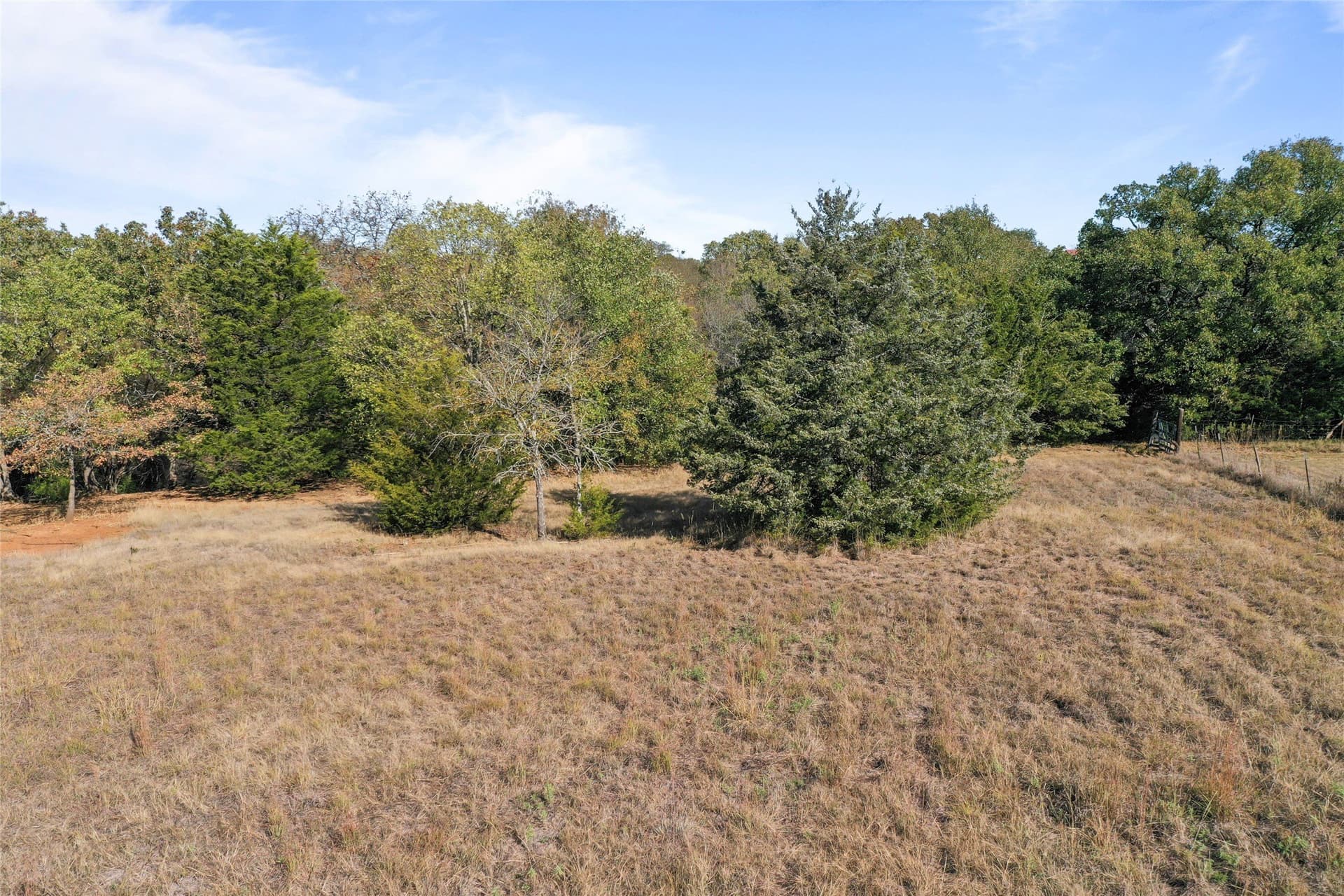 6 acres in Grayson County - photo 24