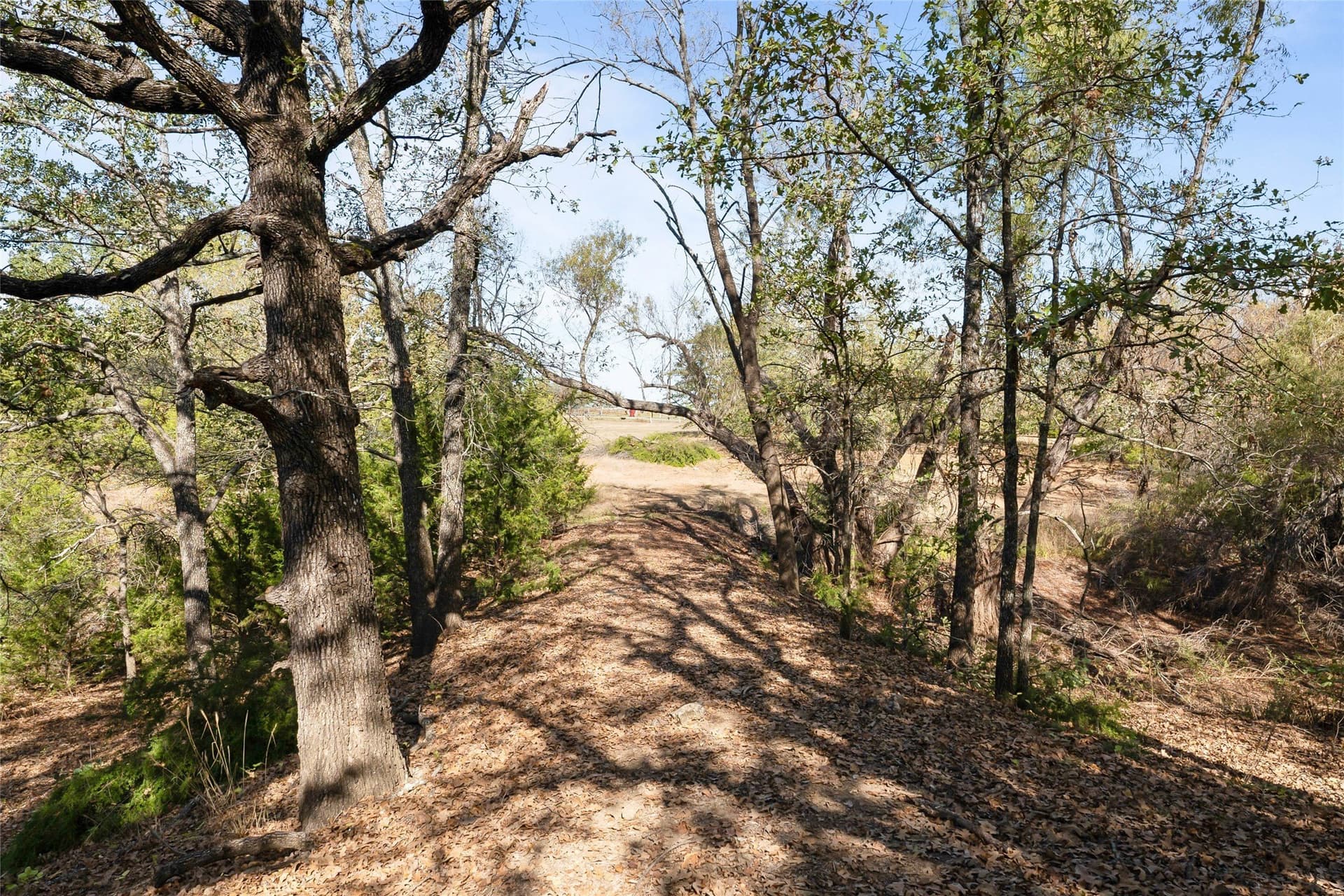 6 acres in Grayson County - photo 31