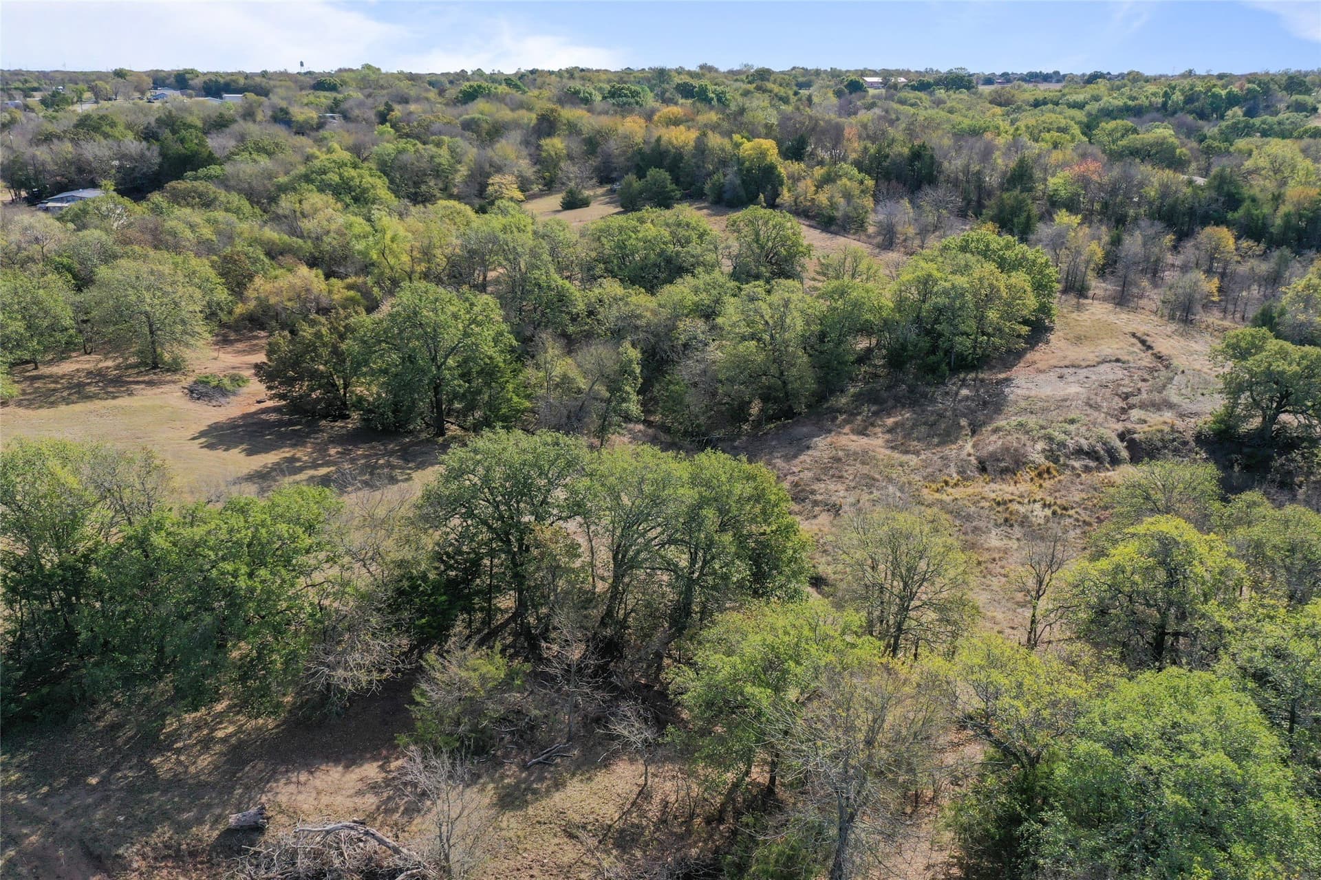 6 acres in Grayson County - photo 19