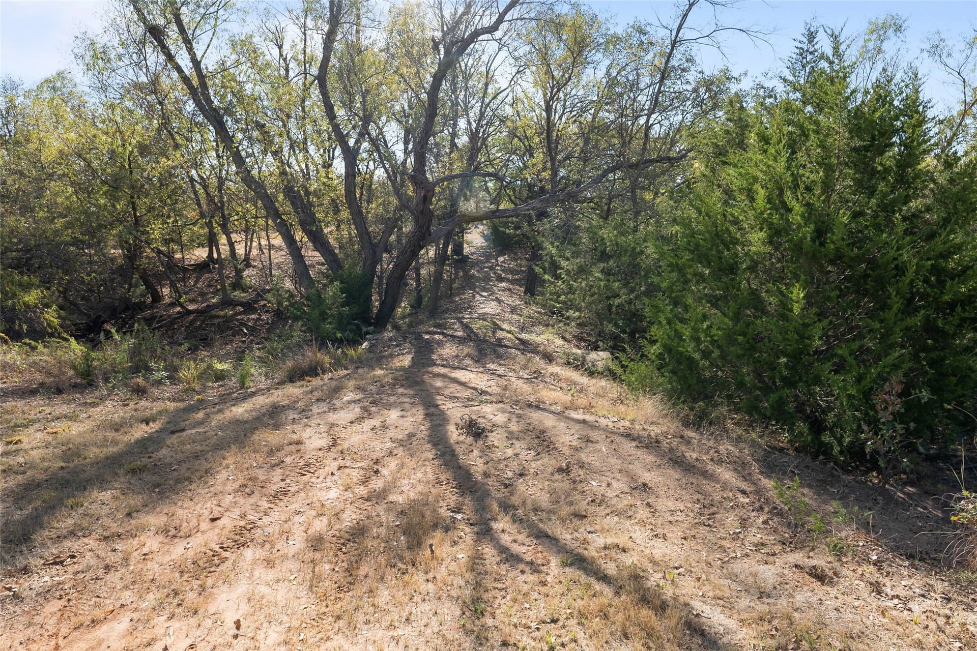 6 acres in Grayson County - photo 29