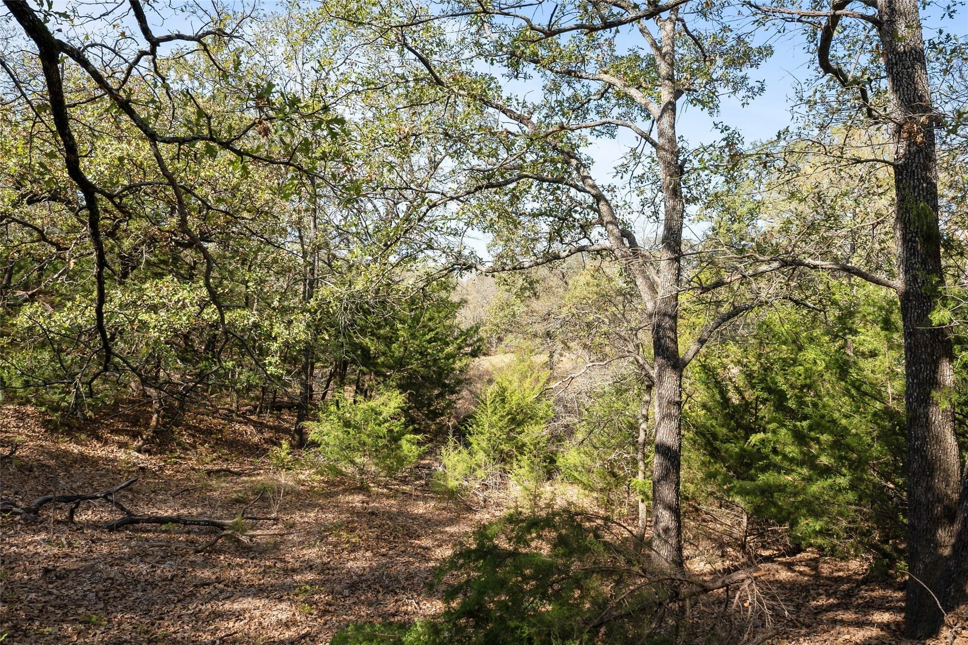 6 acres in Grayson County - photo 30