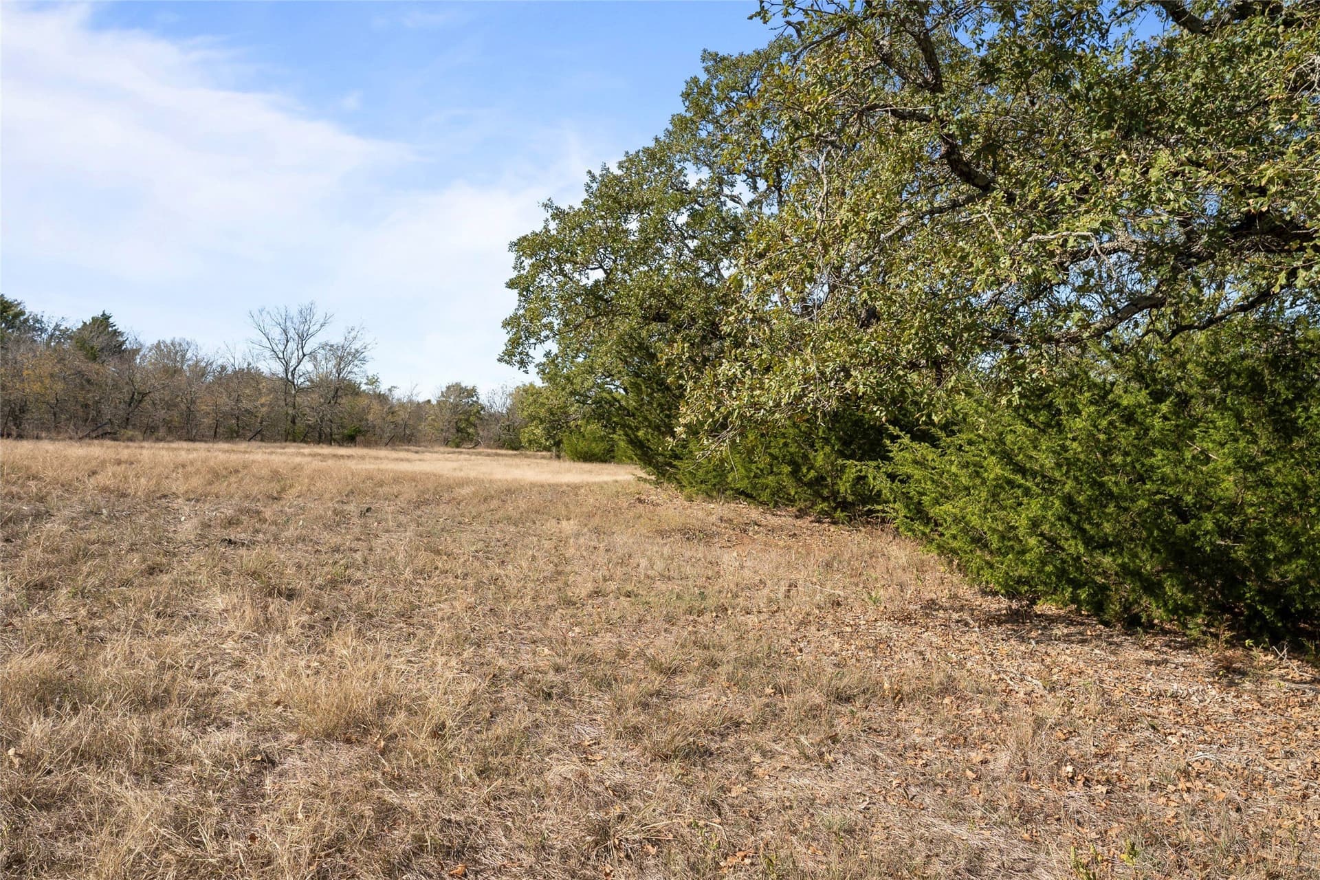 6 acres in Grayson County - photo 33