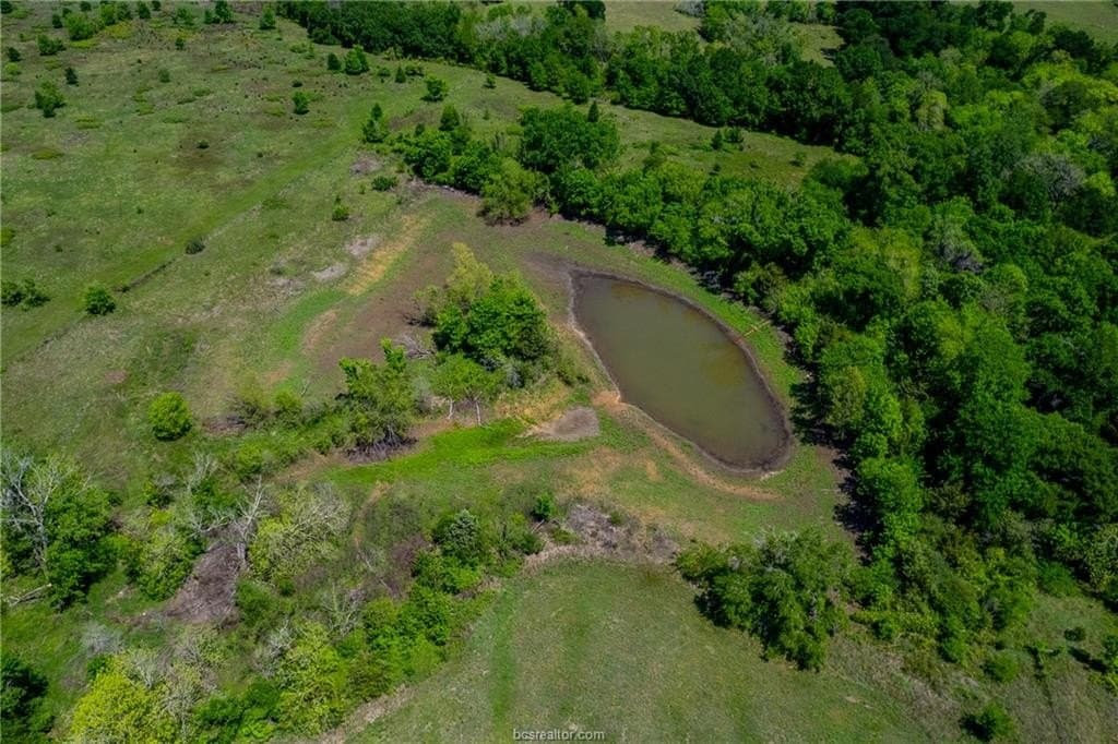 153.12 acres in Burleson County gallery image 3