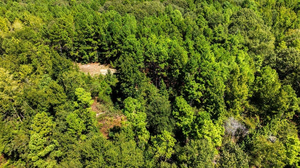 15.75 acres in ANDERSON County - photo 17